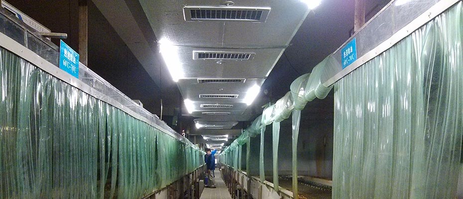 東莞環(huán)?？照{(diào)工程