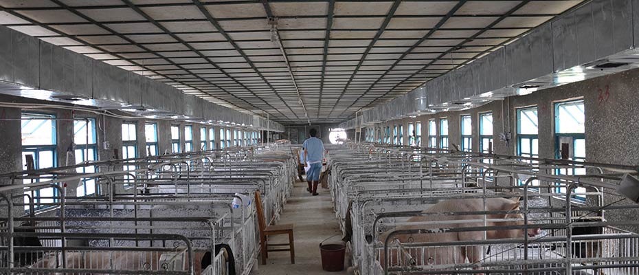 東莞環(huán)?？照{(diào)安裝